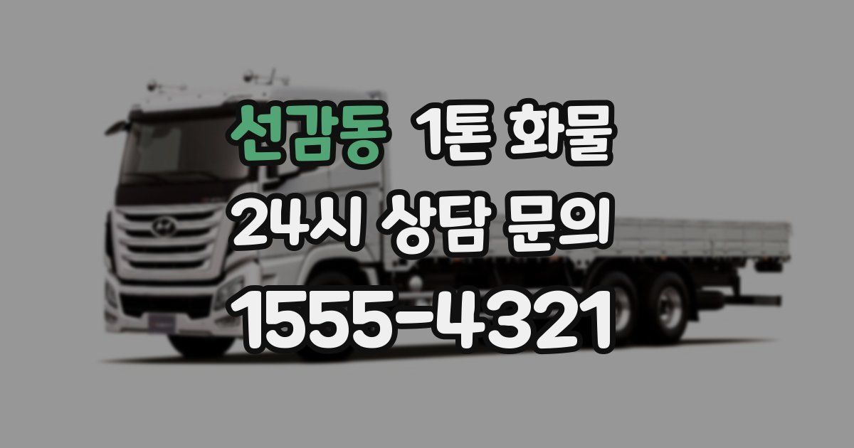 선감동 1톤 화물