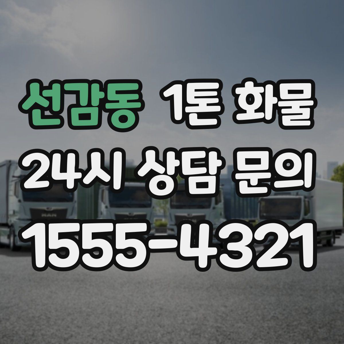 선감동 1톤 화물