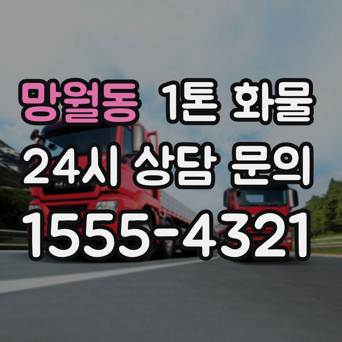 망월동 1톤 화물
