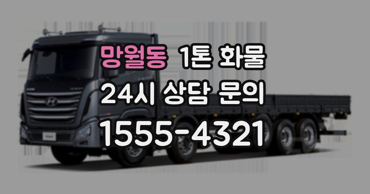 망월동 1톤 화물