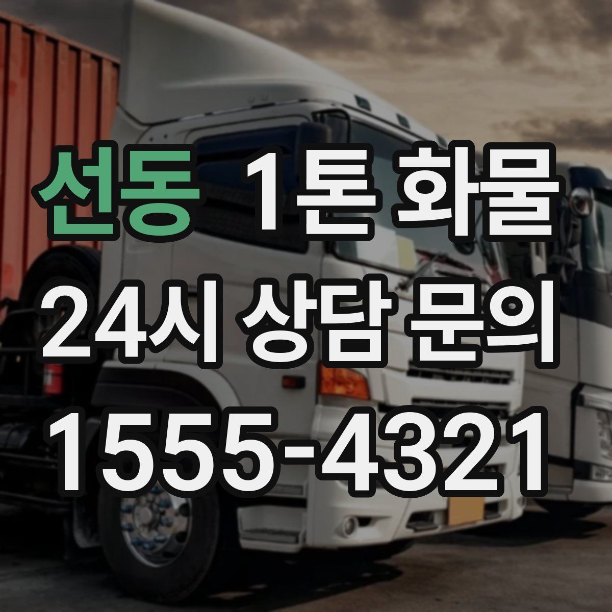 선동 1톤 화물