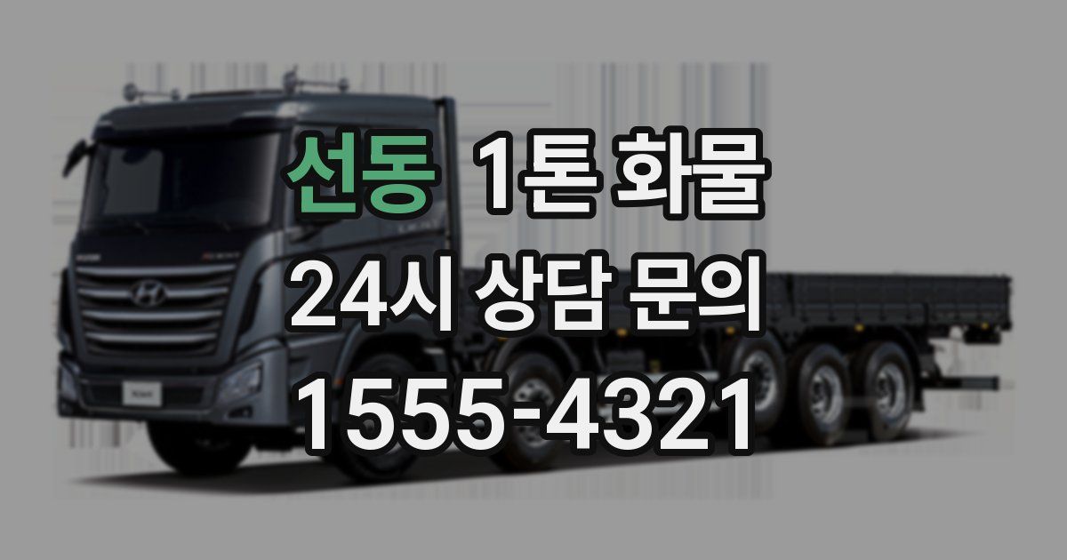 선동 1톤 화물