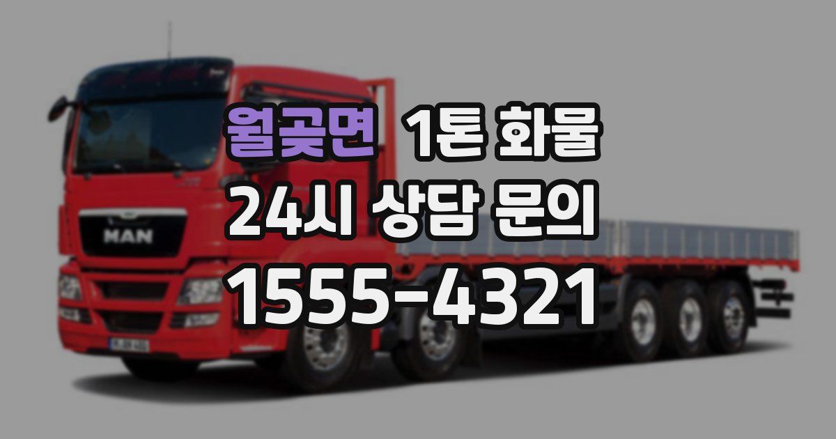 월곶면 1톤 화물