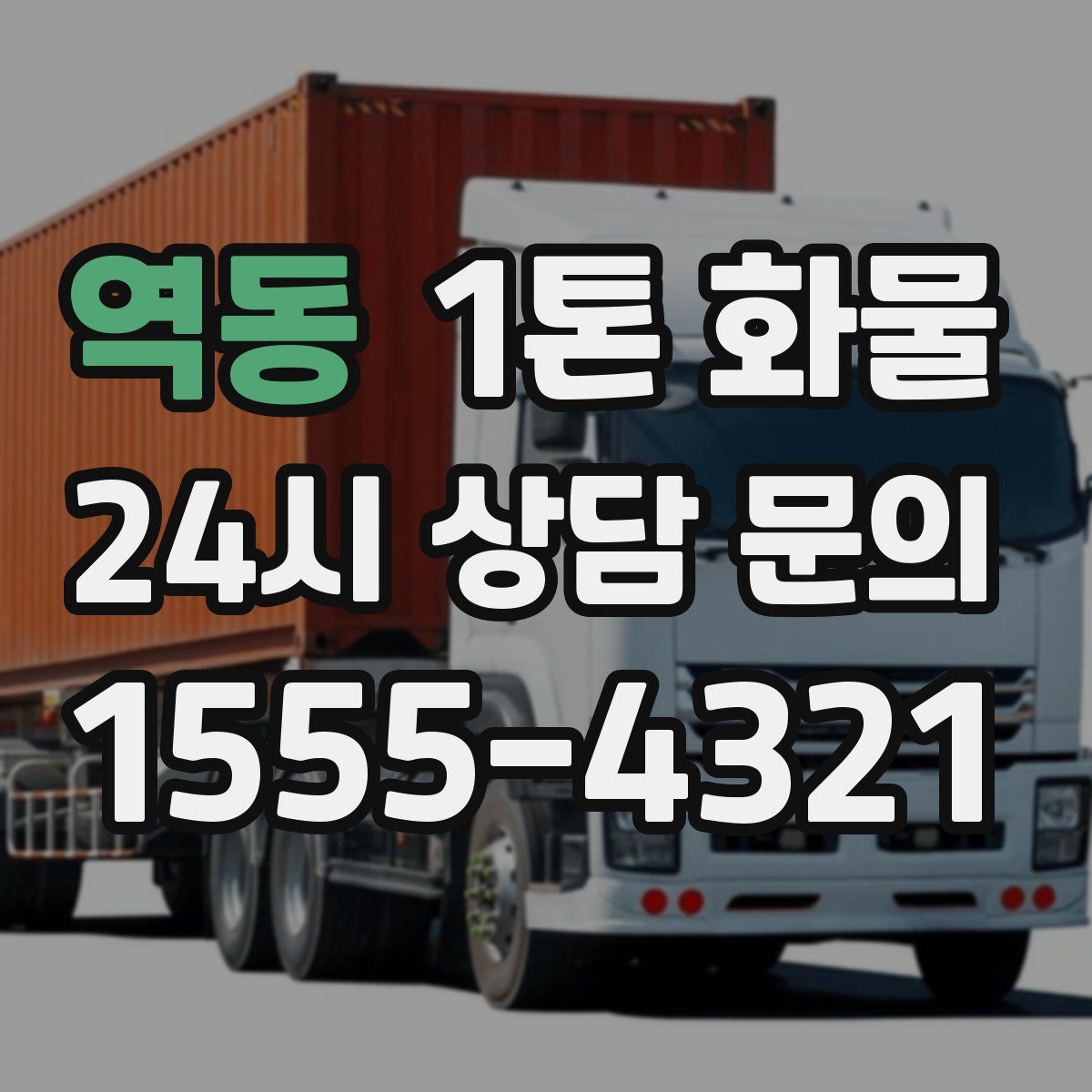 역동 1톤 화물