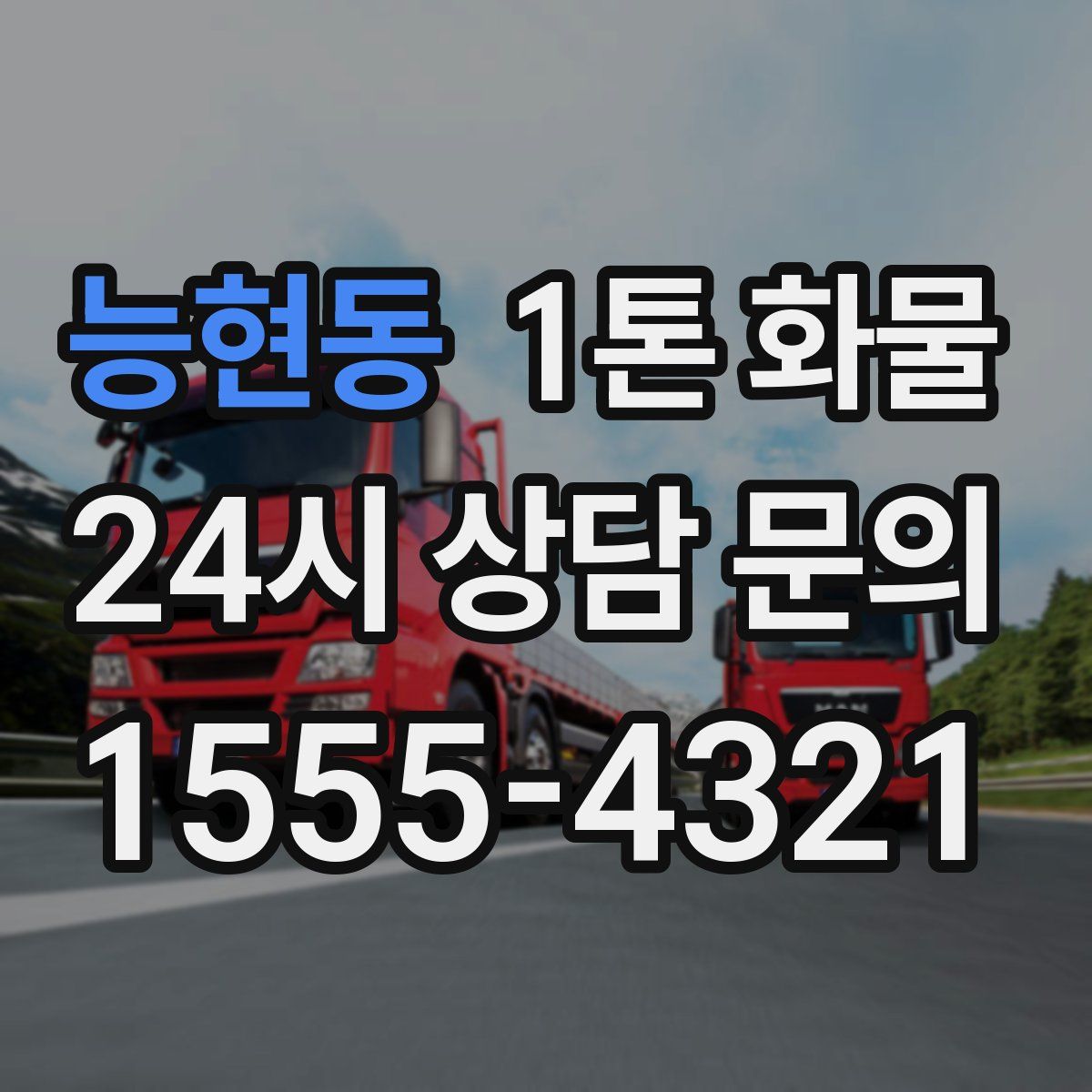 능현동 1톤 화물