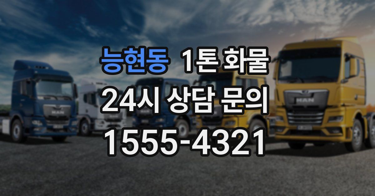 능현동 1톤 화물