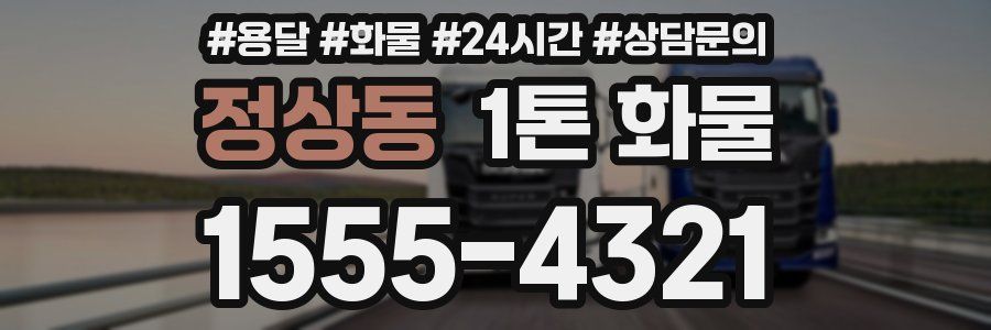 정상동 1톤 화물