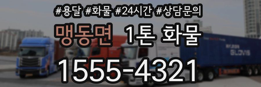 맹동면 1톤 화물