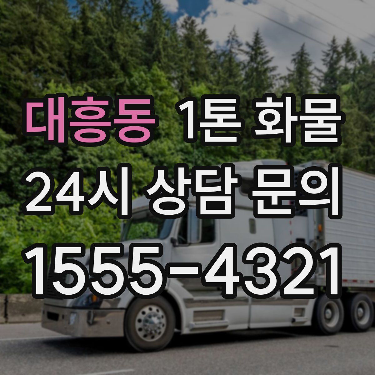 대흥동 1톤 화물