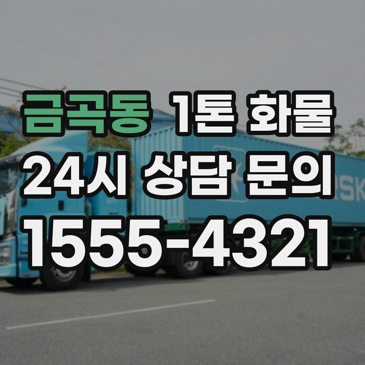 금곡동 1톤 화물