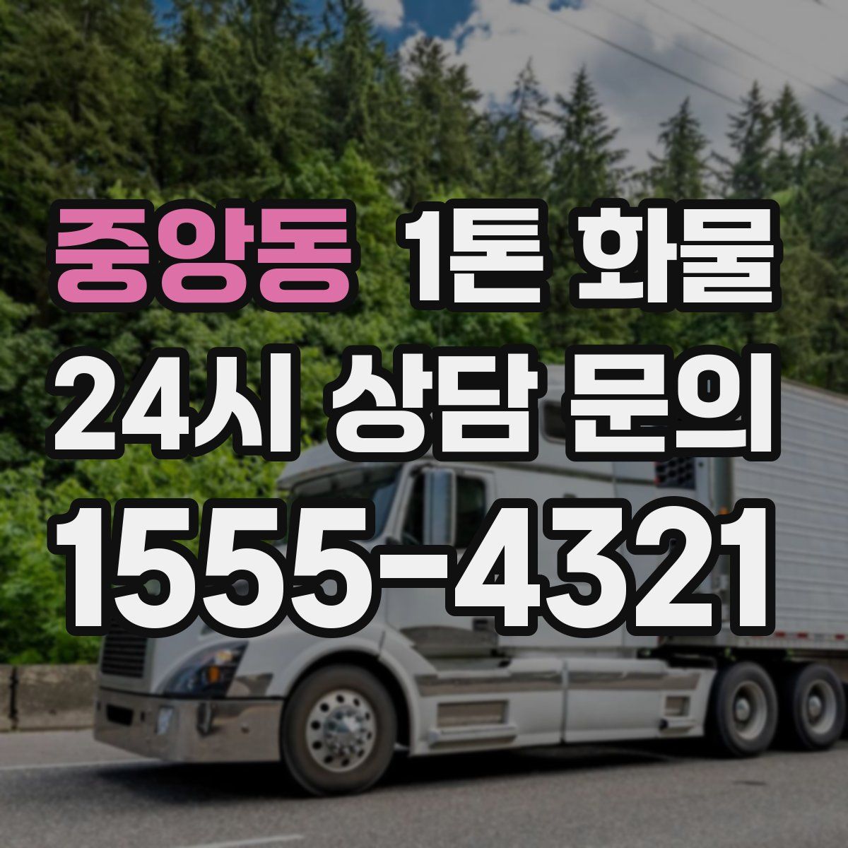 중앙동 1톤 화물