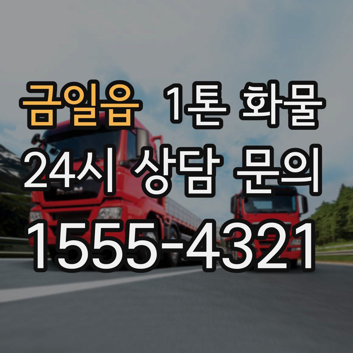 금일읍 1톤 화물