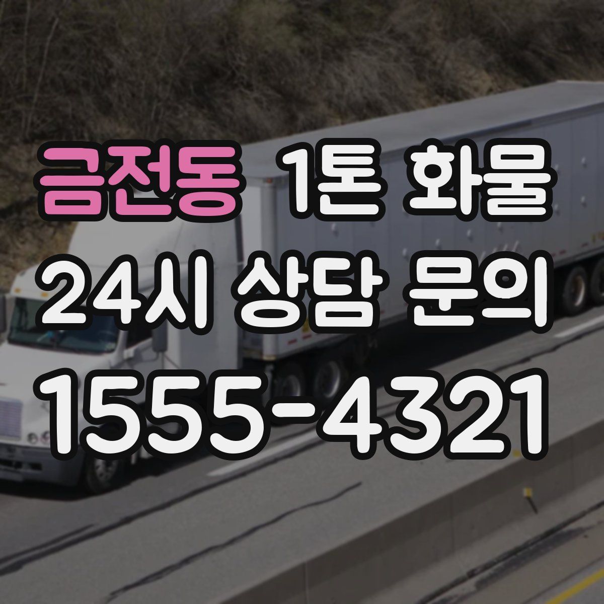 금전동 1톤 화물