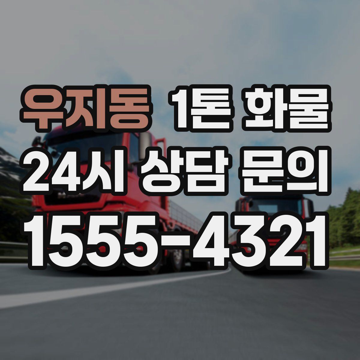 우지동 1톤 화물