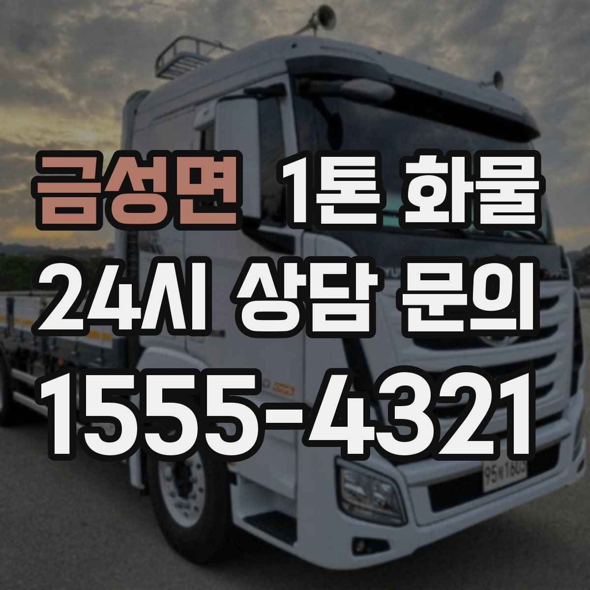 금성면 1톤 화물
