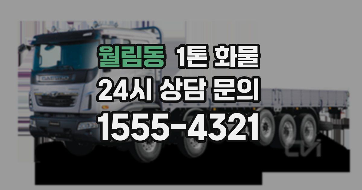 월림동 1톤 화물