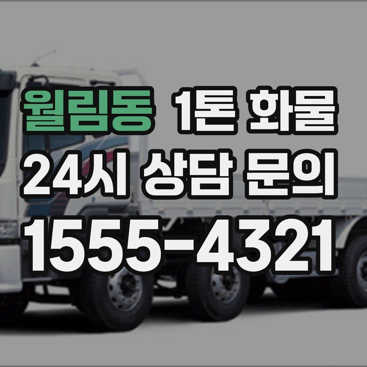 월림동 1톤 화물