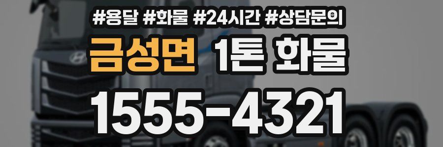 금성면 1톤 화물
