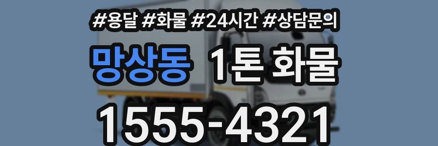 망상동 1톤 화물