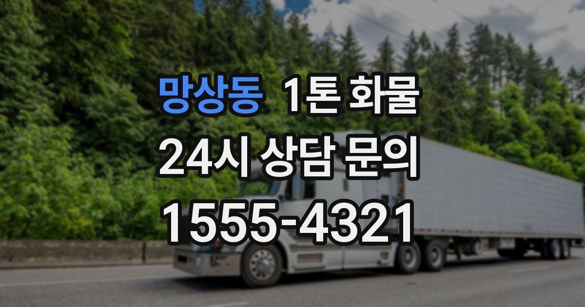 망상동 1톤 화물