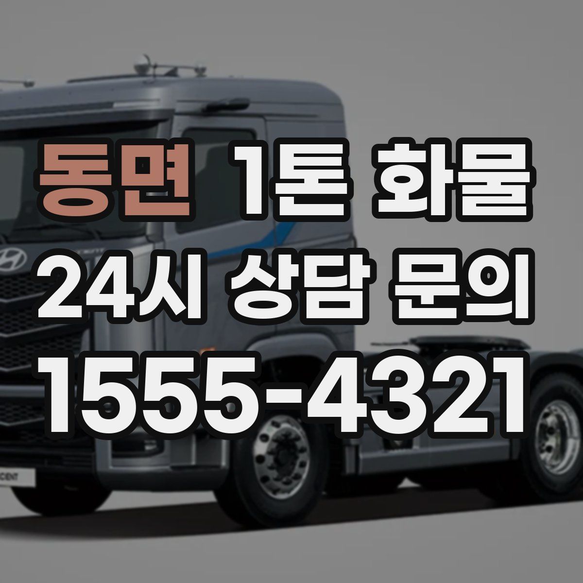 동면 1톤 화물