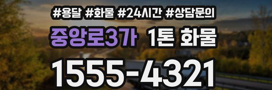 중앙로3가 1톤 화물