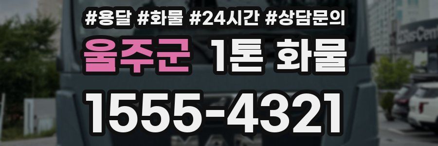 울주군 1톤 화물