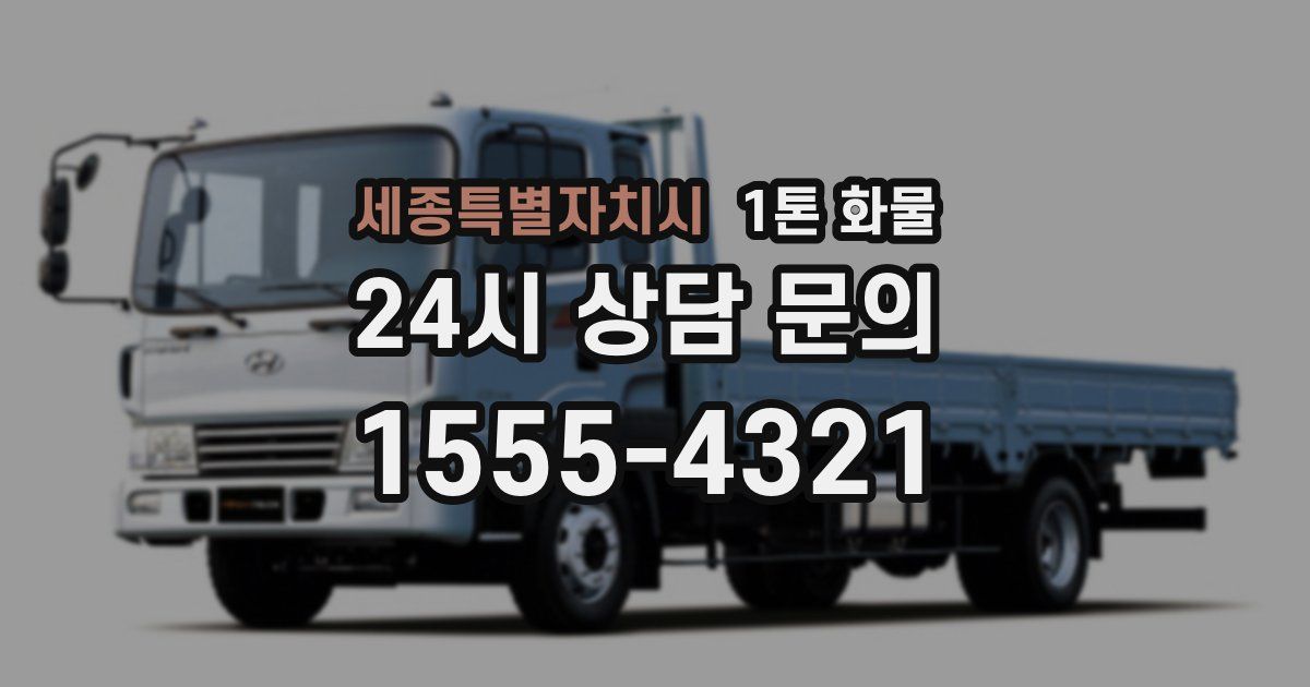 세종특별자치시 1톤 화물