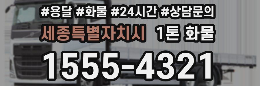 세종특별자치시 1톤 화물