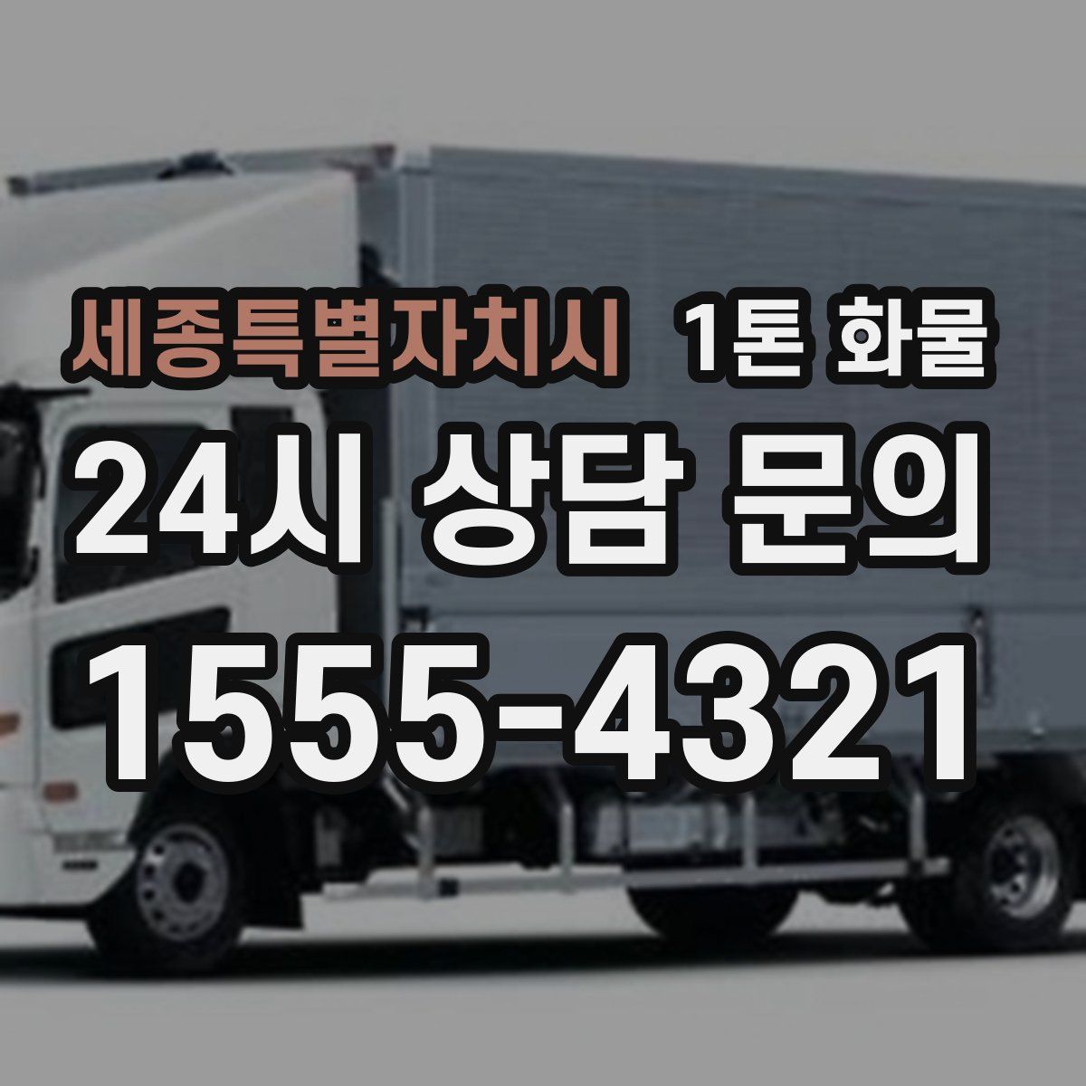 세종특별자치시 1톤 화물