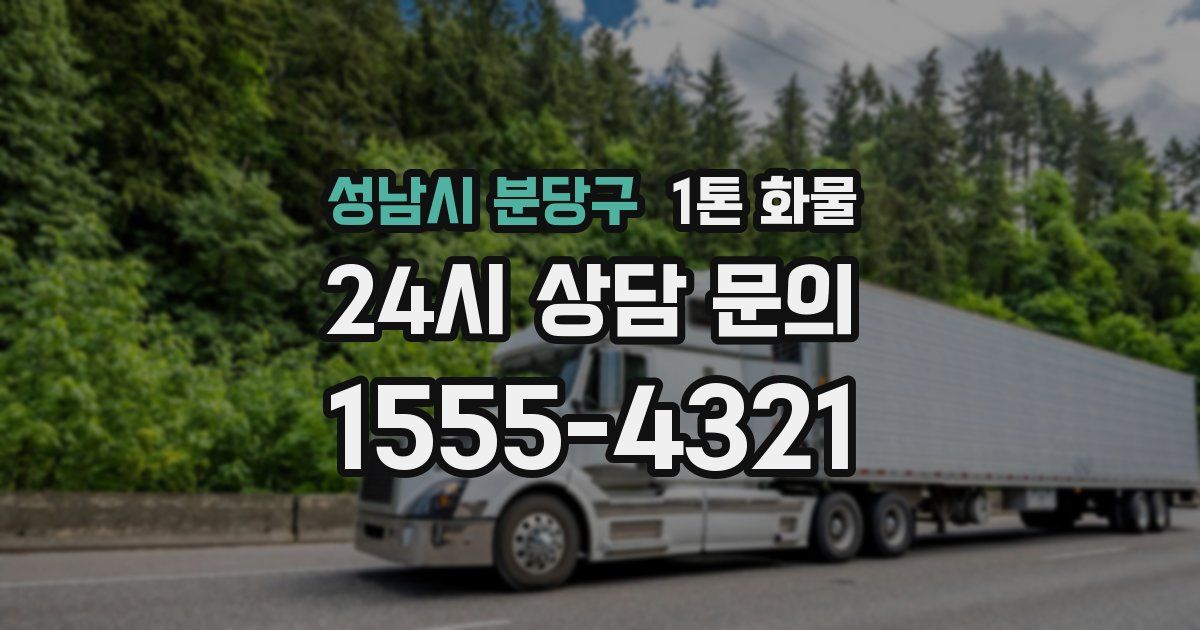 성남시 분당구 1톤 화물