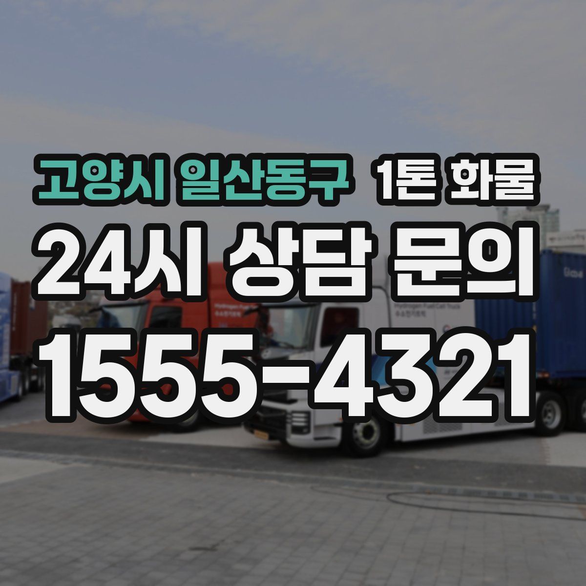 고양시 일산동구 1톤 화물