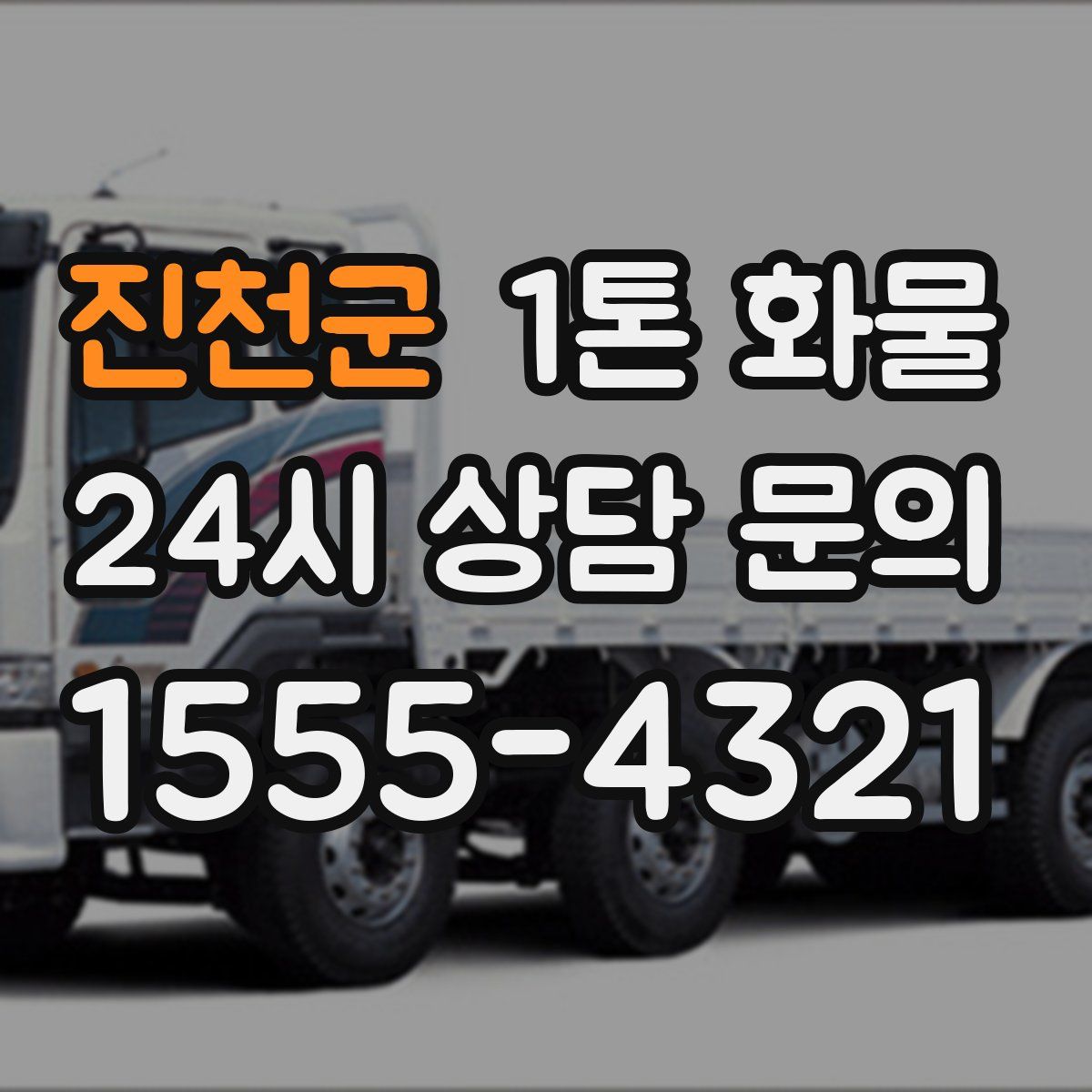 진천군 1톤 화물