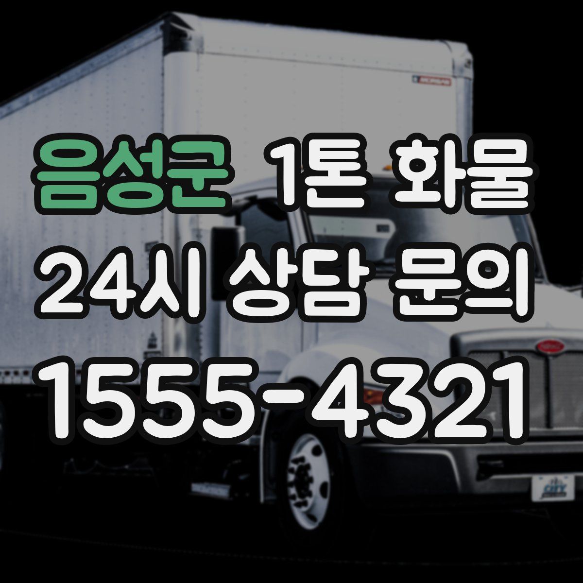 음성군 1톤 화물