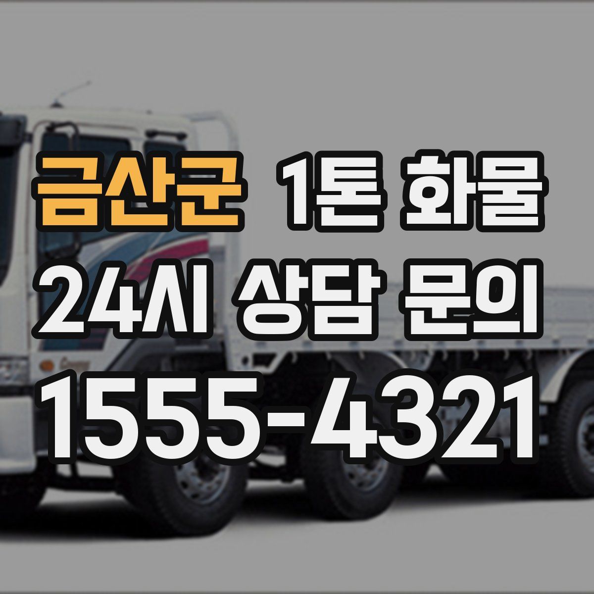 금산군 1톤 화물