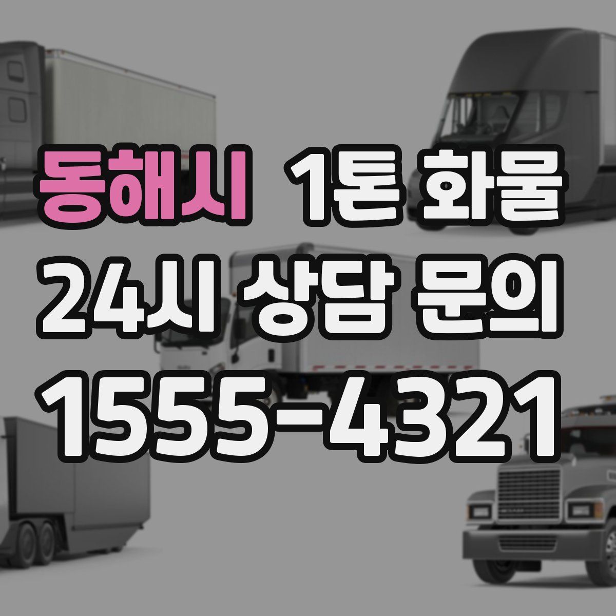 동해시 1톤 화물