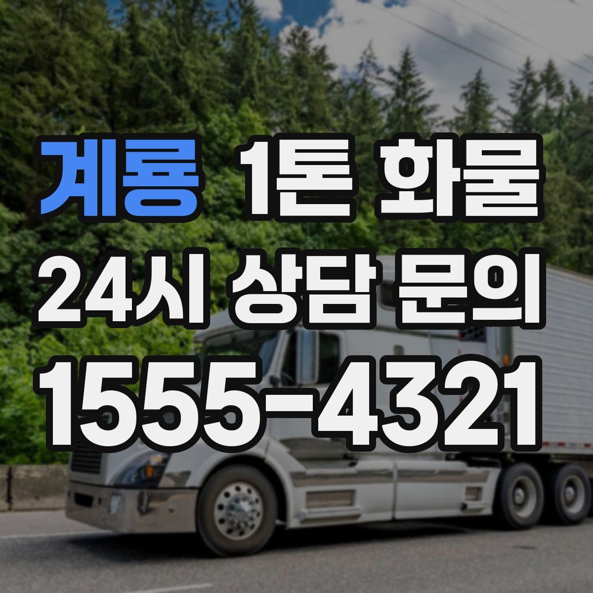계룡 1톤 화물