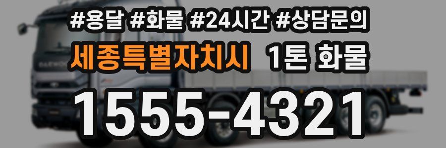 세종특별자치시 1톤 화물