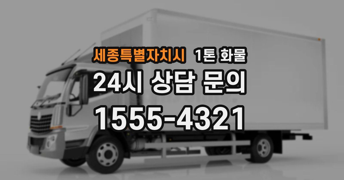 세종특별자치시 1톤 화물