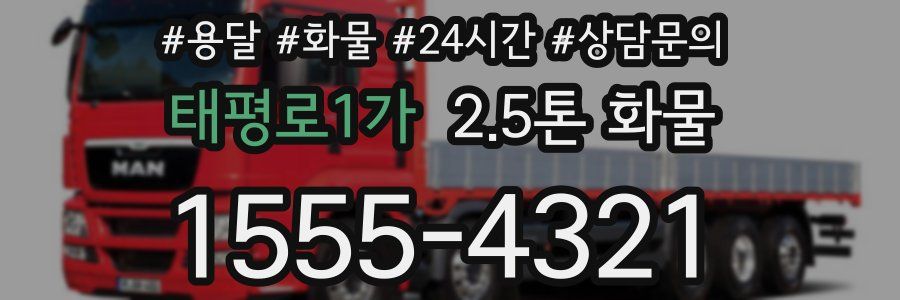태평로1가 2.5톤 화물