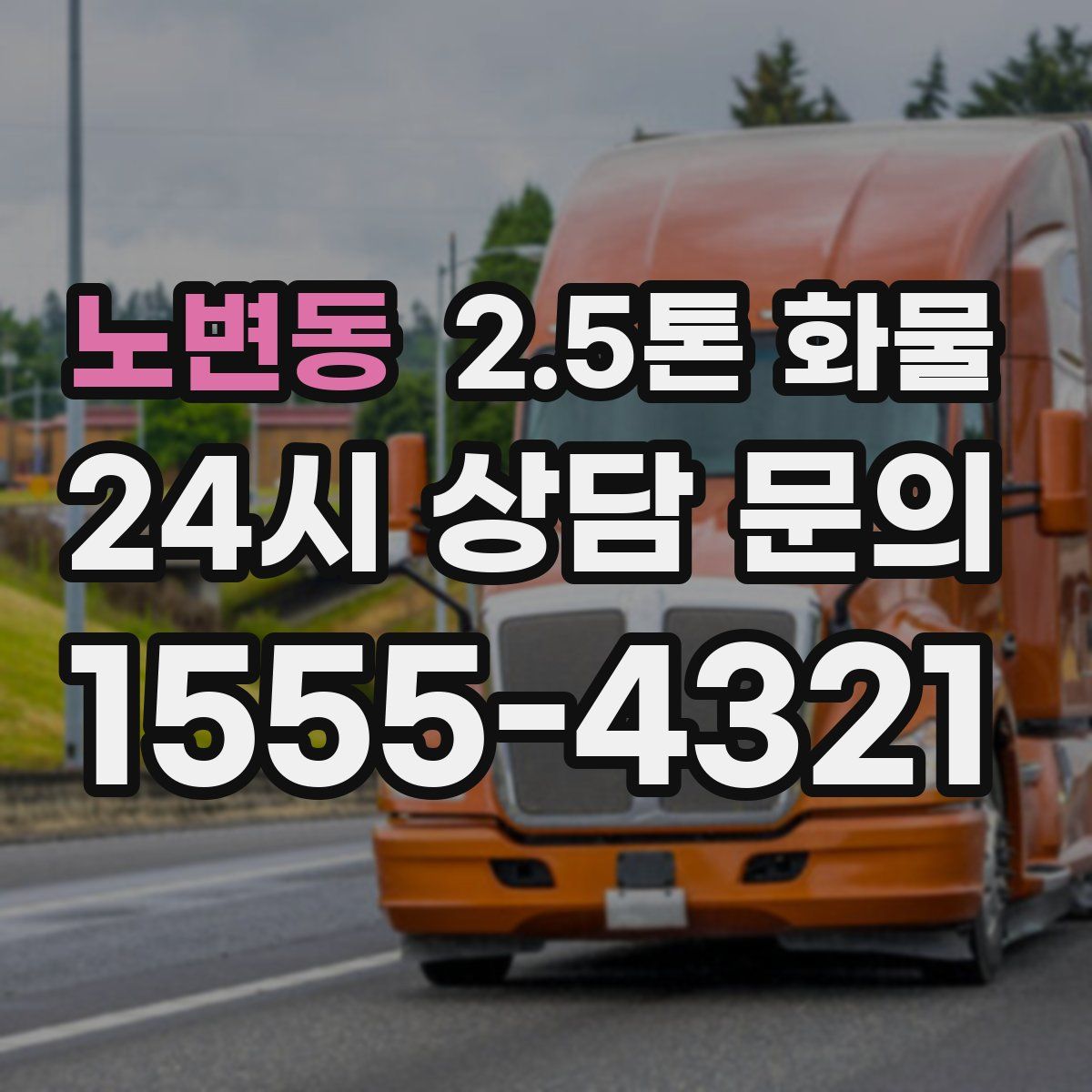 노변동 2.5톤 화물