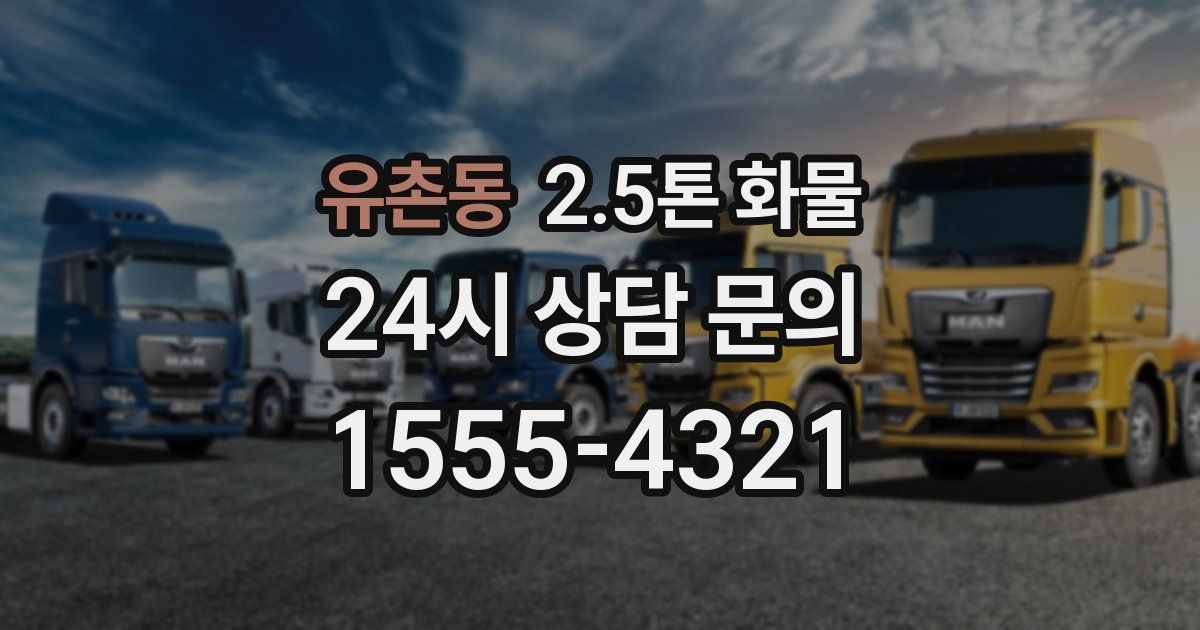 유촌동 2.5톤 화물