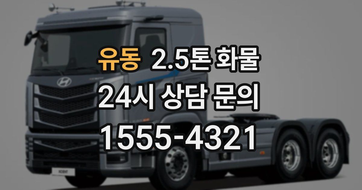유동 2.5톤 화물