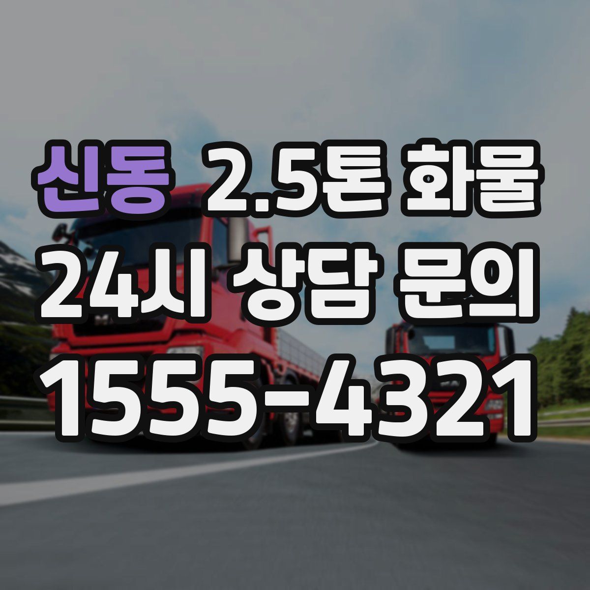 신동 2.5톤 화물