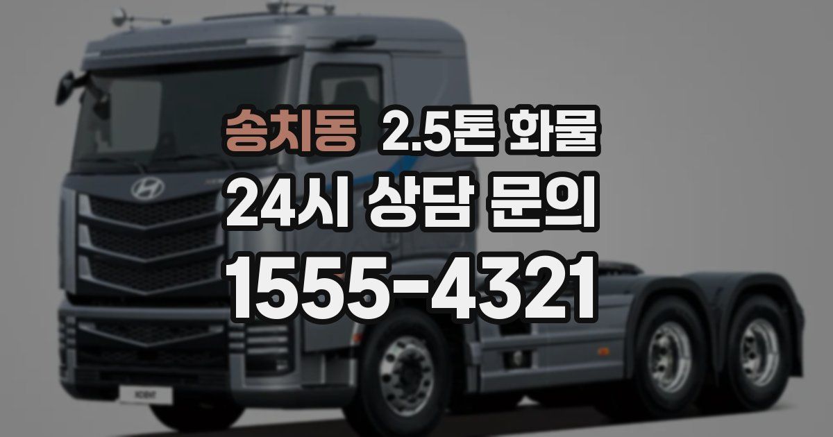 송치동 2.5톤 화물