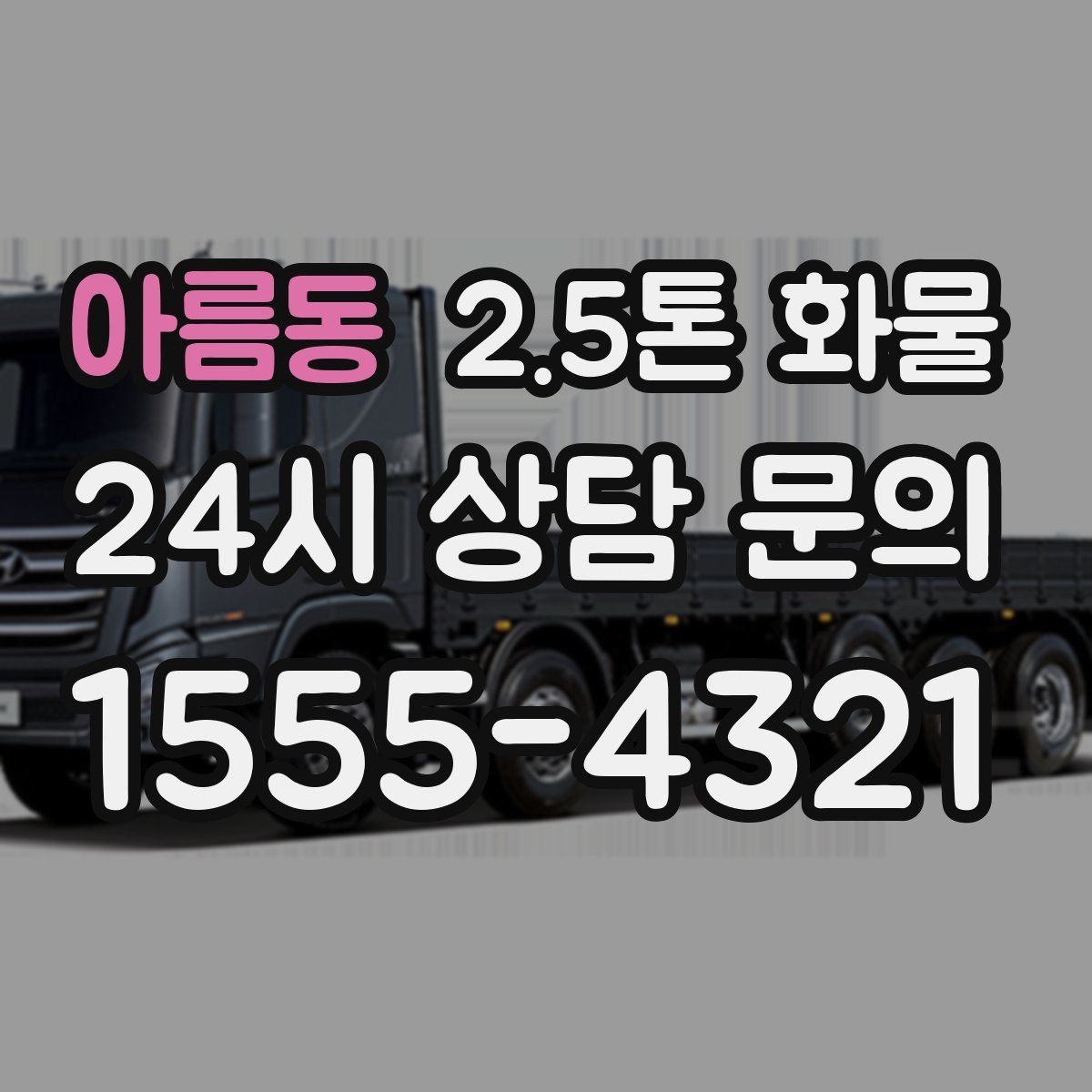 아름동 2.5톤 화물
