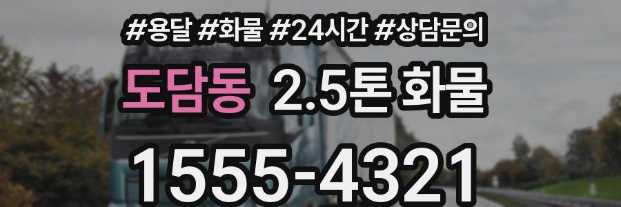 도담동 2.5톤 화물