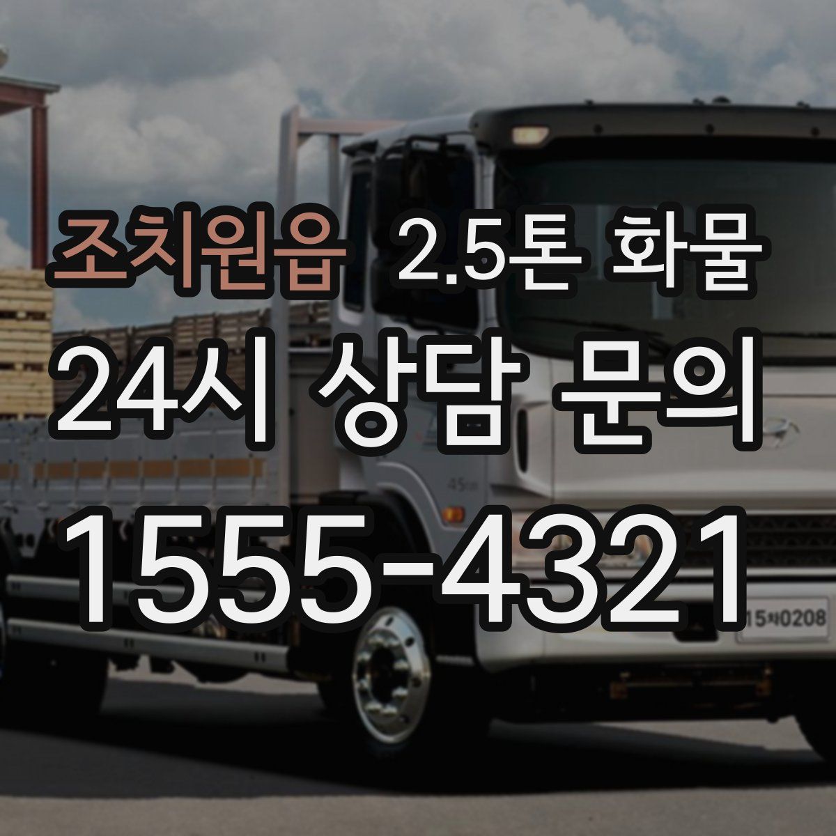조치원읍 2.5톤 화물