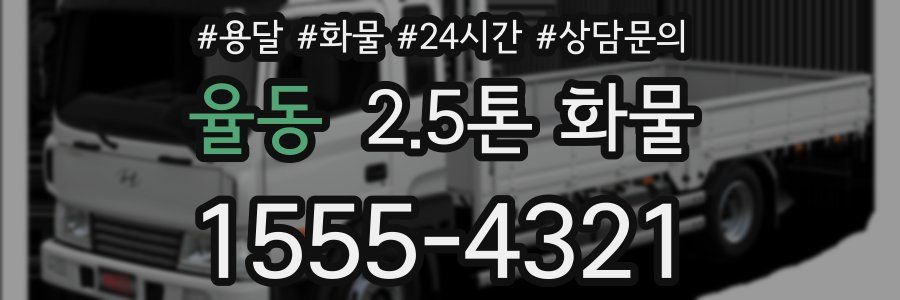 율동 2.5톤 화물