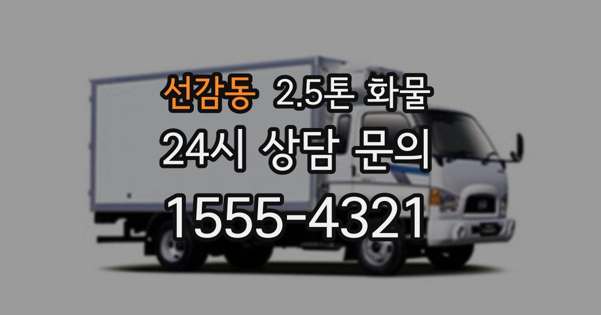 선감동 2.5톤 화물